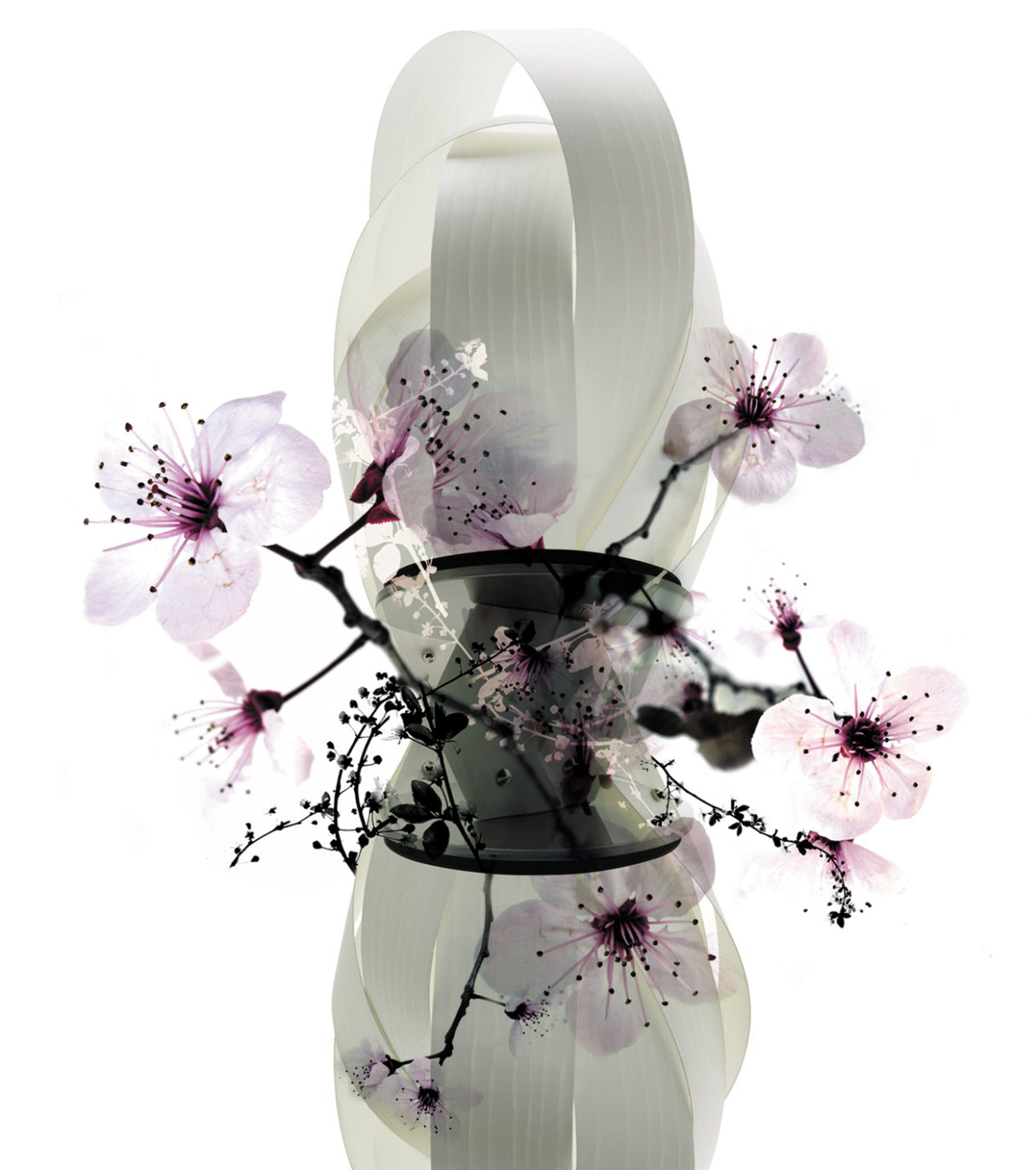 cactus-table-lamp-lzf-lamps-miguel-herranz-illustration-wooden