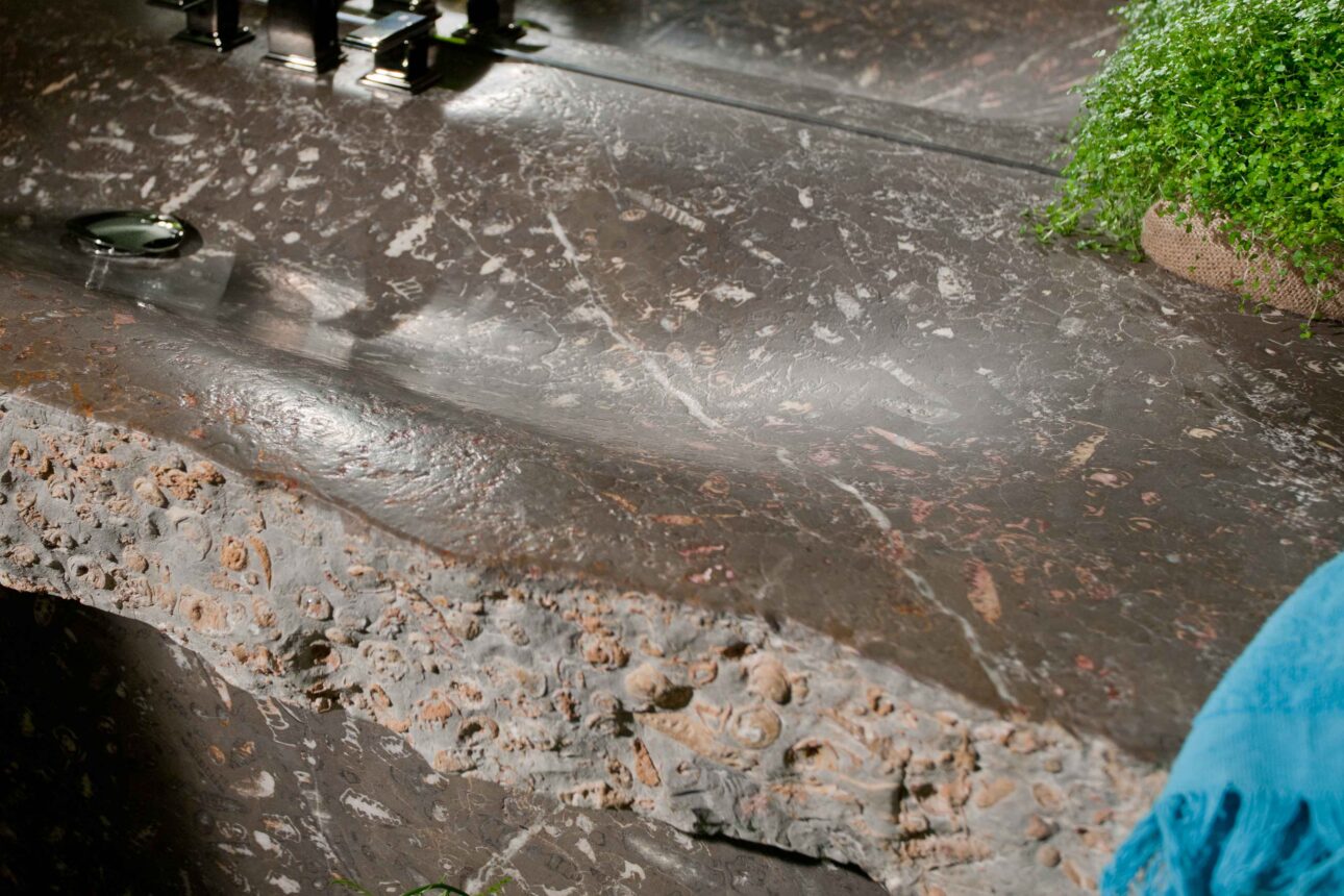 erosion-unique-nerinea-miguel-herranz-jurassic-marble