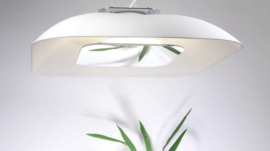 parabola-ceiling-lamp-blux-miguel-herranz-plant