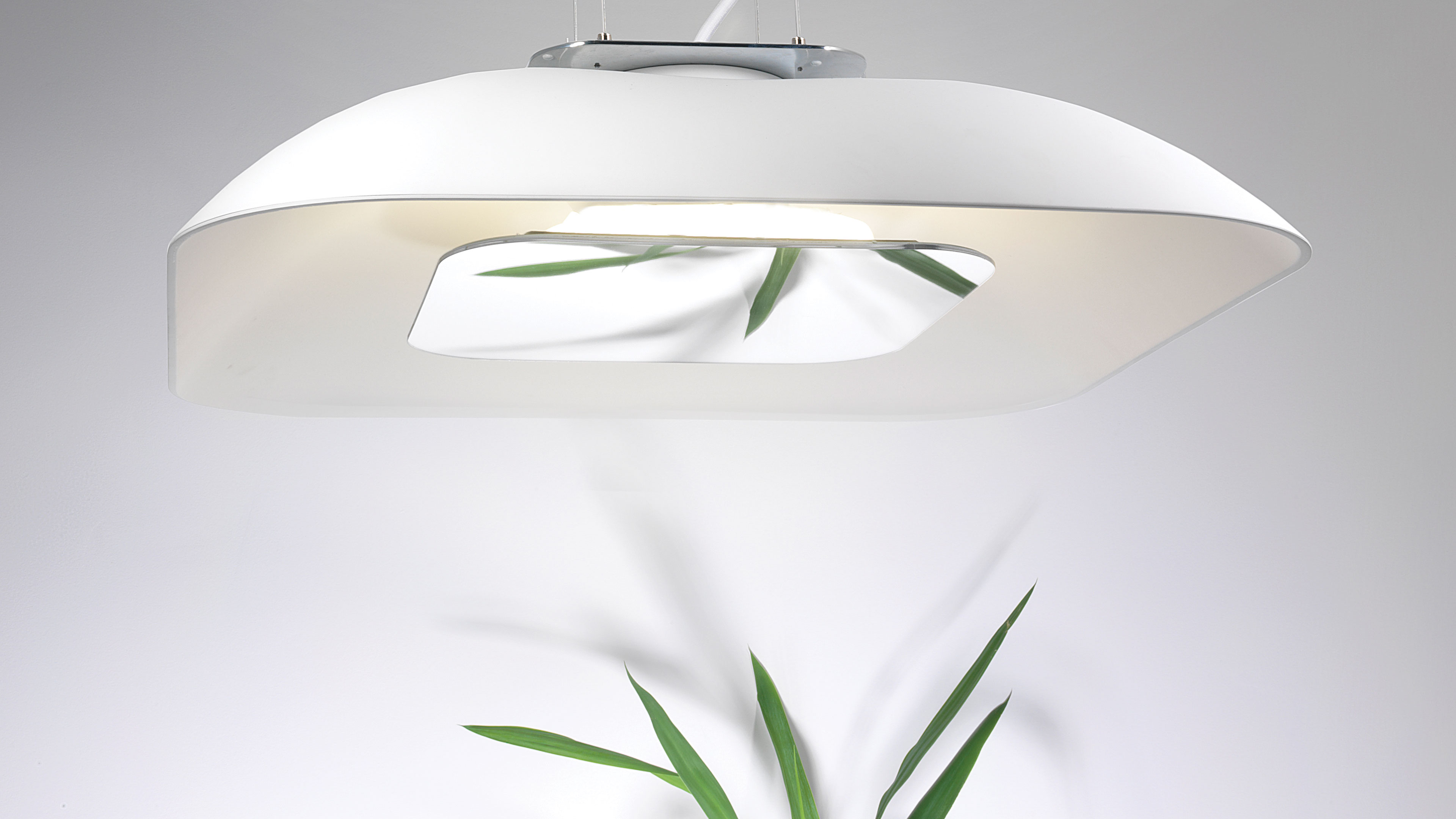 parabola-ceiling-lamp-blux-miguel-herranz-plant